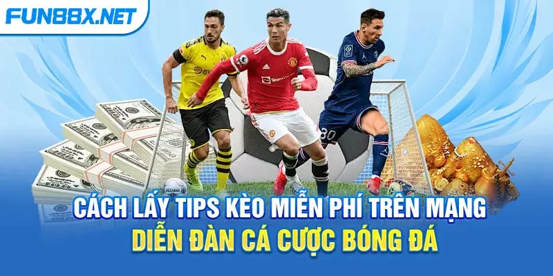 Cách lấy tips kèo miễn phí trên mạng