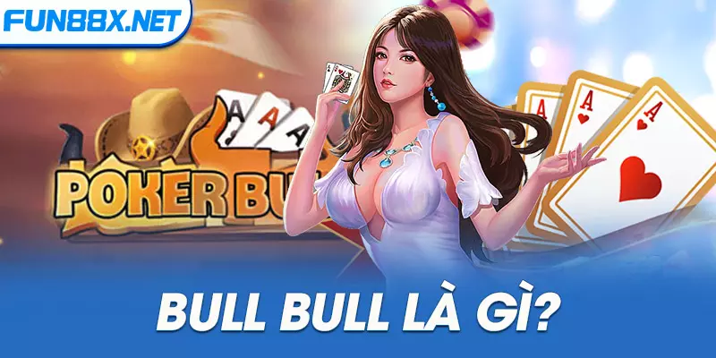 Bull Bull là gì?