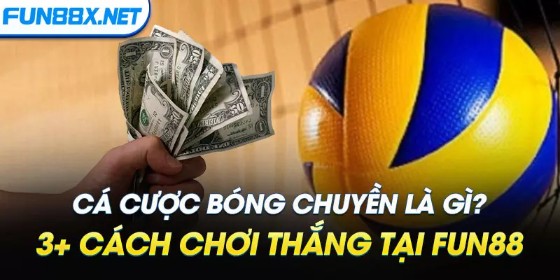 cá cược Bóng Chuyền