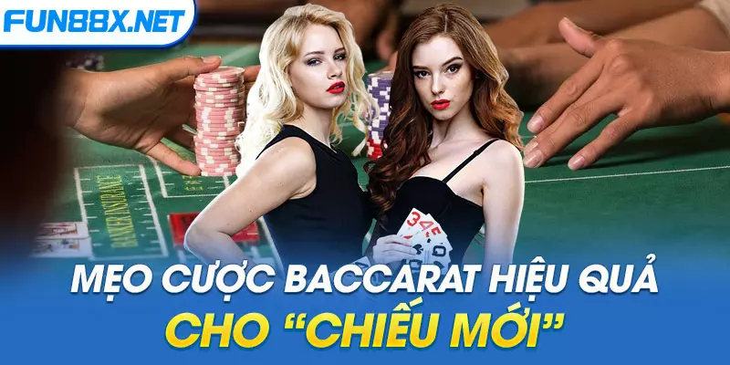 Mẹo cược Baccarat hiệu quả cho “chiếu mới”