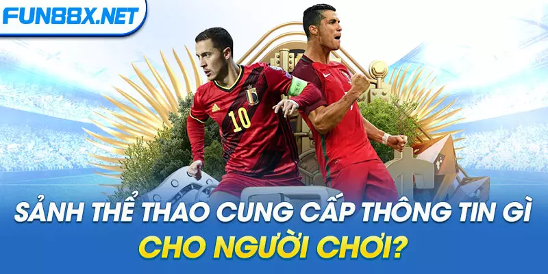 Sảnh thể thao cung cấp thông tin gì cho người chơi