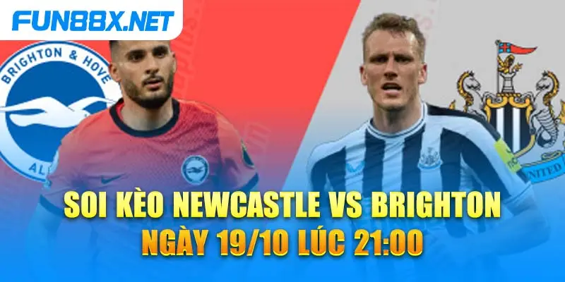 Soi kèo Newcastle vs Brighton ngày 19/10 lúc 21:00